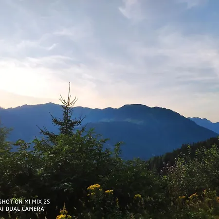 Oda ve Kahvaltı Buttermilchalm 3*