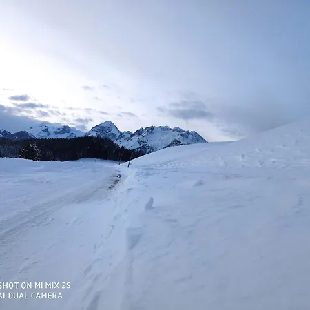 Oda ve Kahvaltı Buttermilchalm